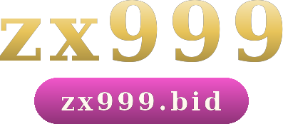 zx999 logo